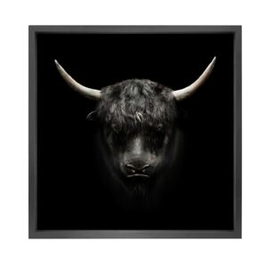 Canvas prints with black frame