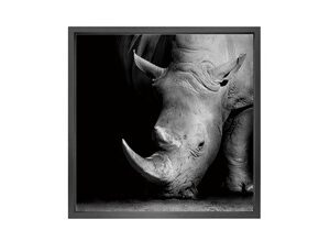 Canvas picture 5cm black frame Rhinos 120 cm x 120cm